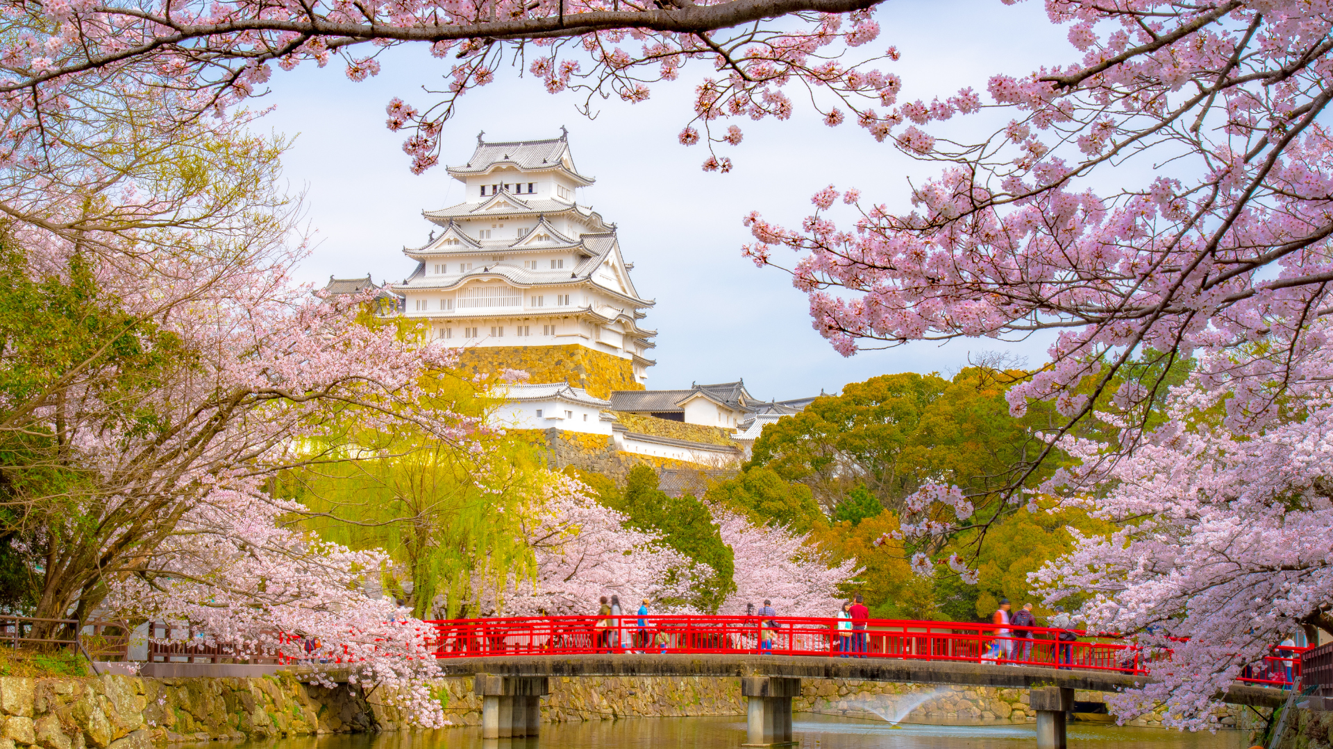 6-Jan-22-2026-10-58-59-3319-PM