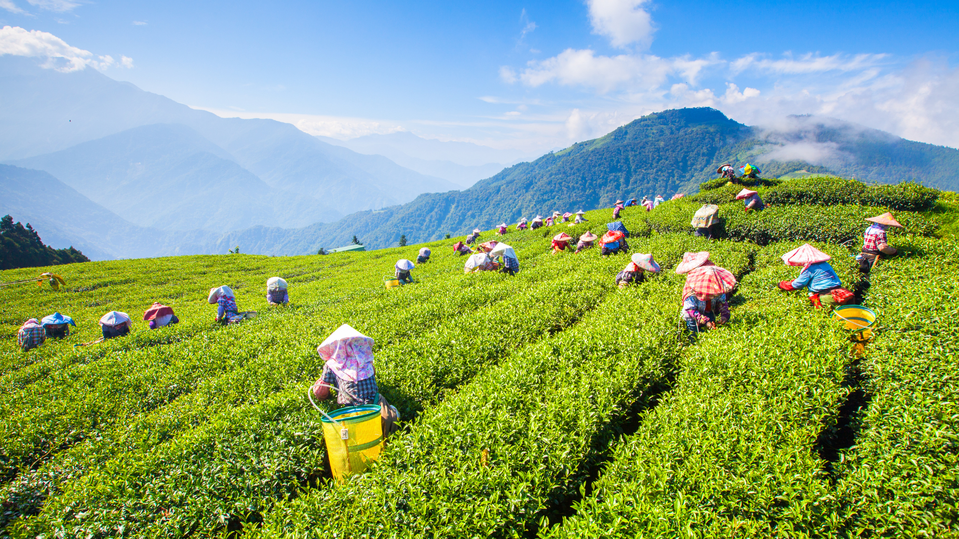 7-Jan-22-2026-10-59-08-5033-PM