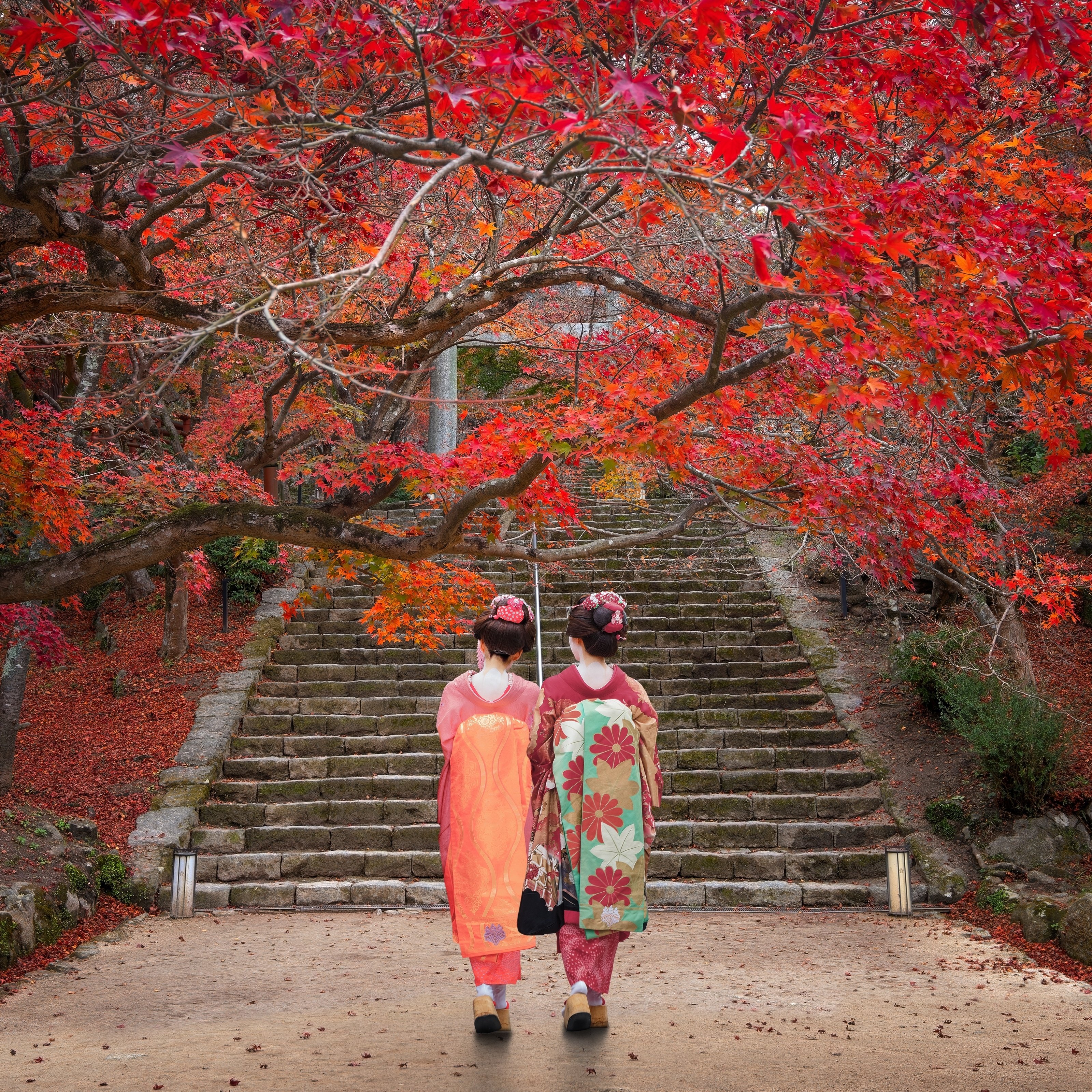 Autumn_Japan_2345556651