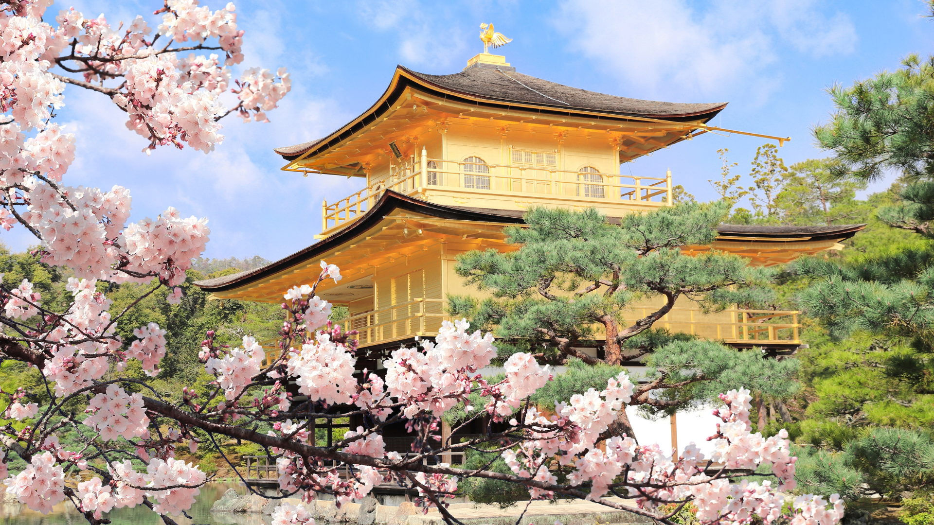 Best Japan Tour if Youre Short on Time_ A Week in Japan