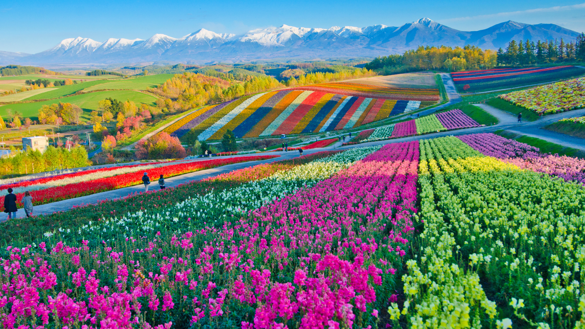Best Off-the-Beaten-Track Japan Tour_ Northern Japan_ Secrets of Hokkaido