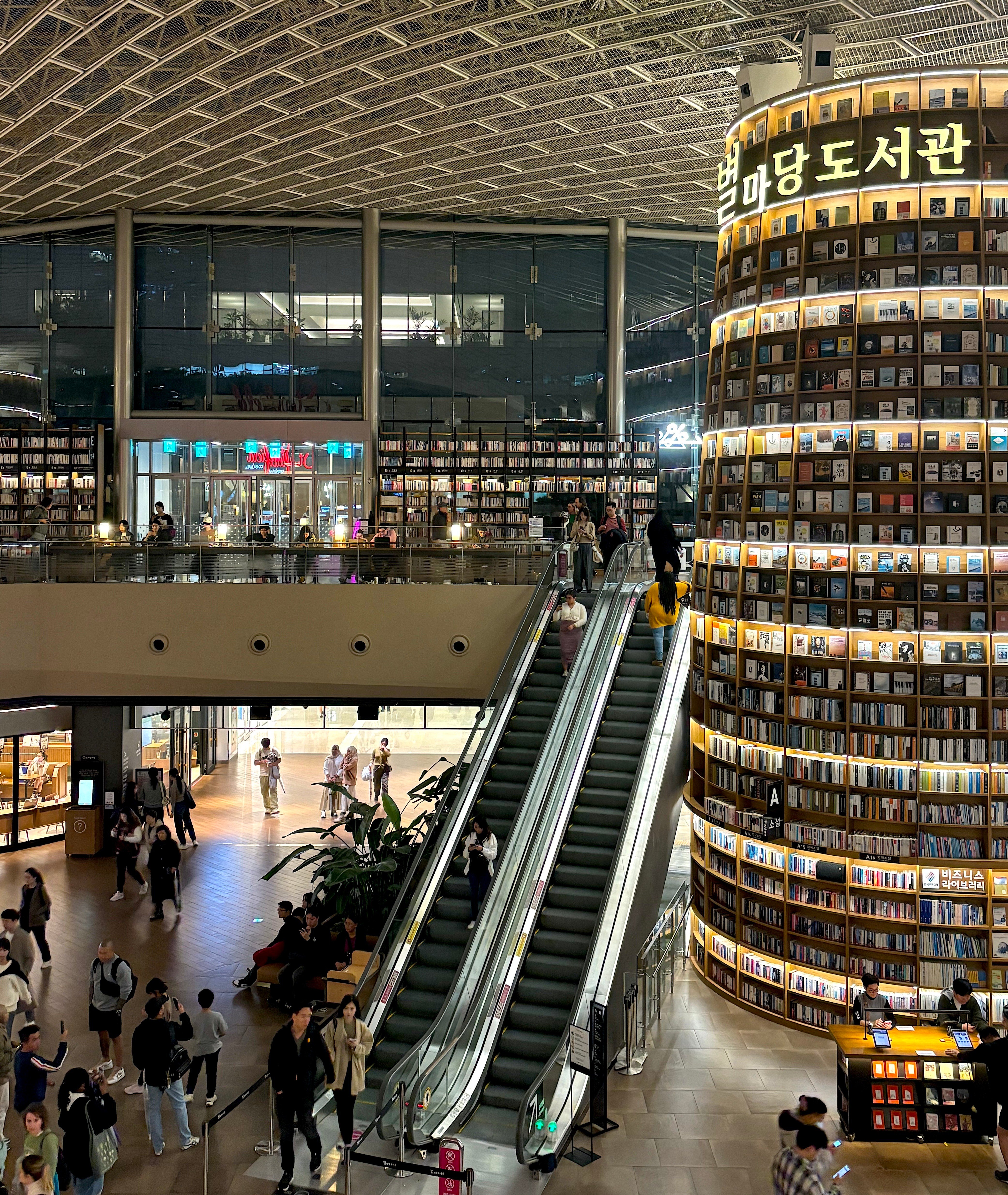 COEX Starfield Library