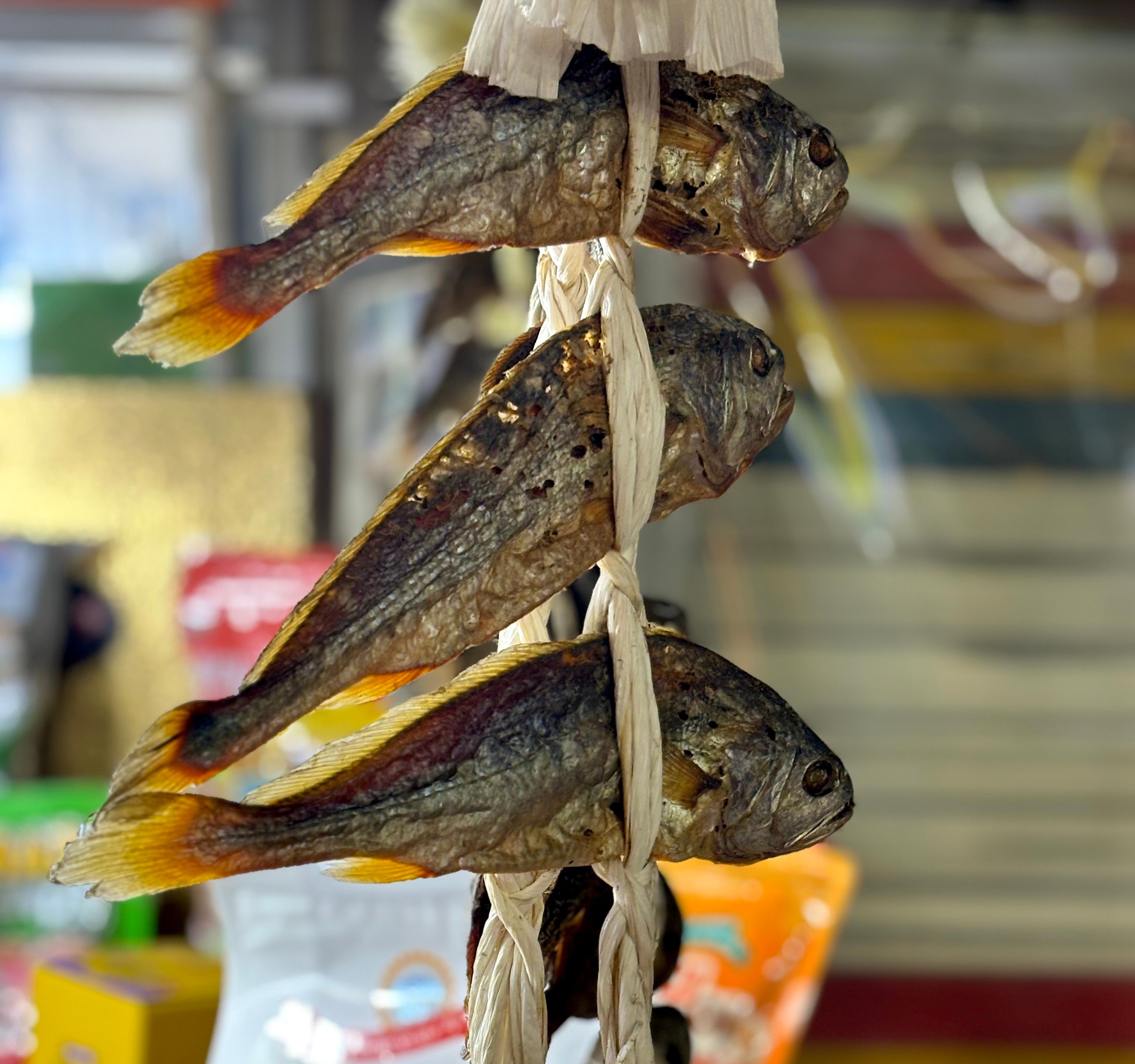 Dried fish