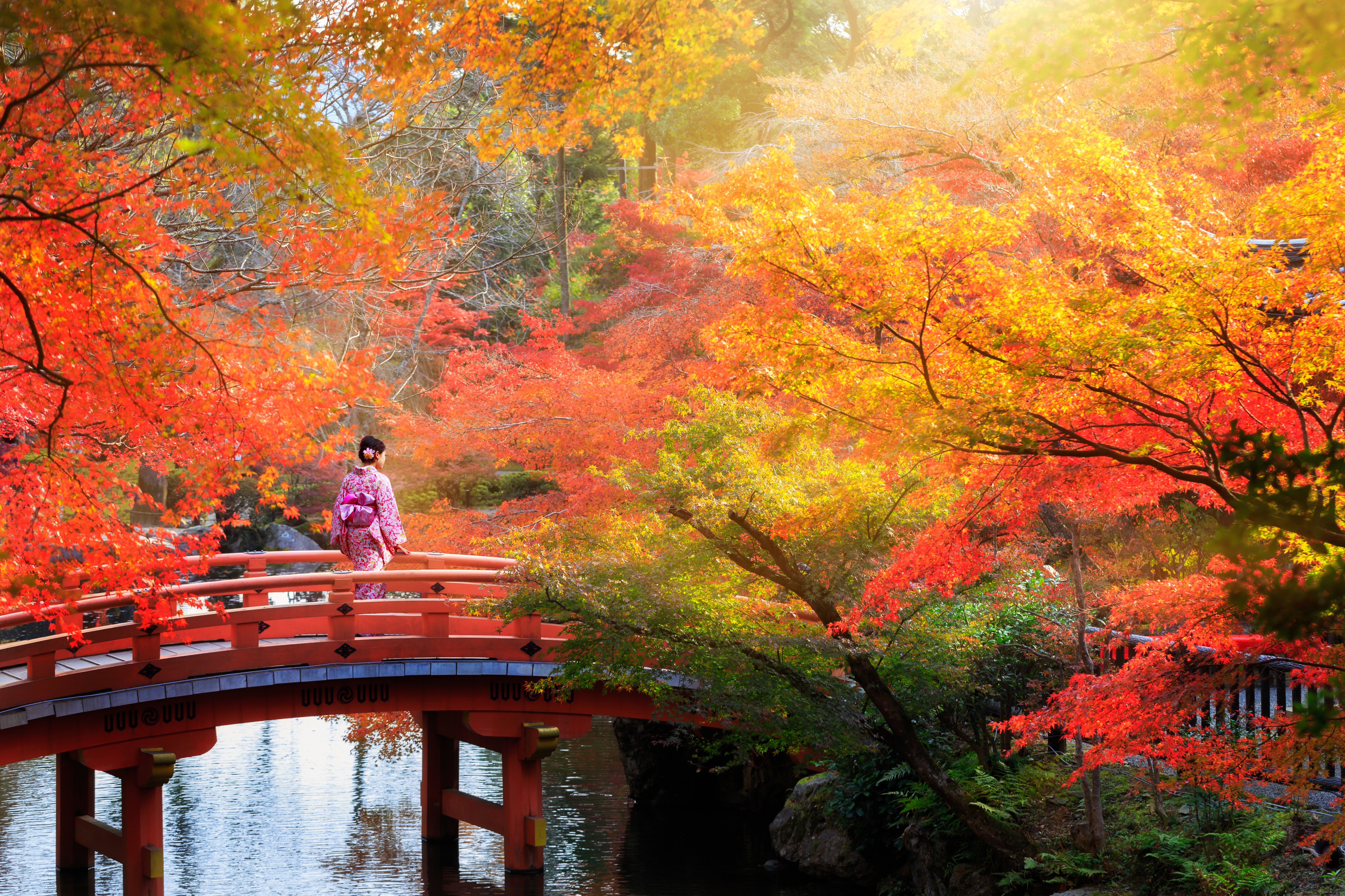 HR_SS418674916-Kyoto-Japan-1