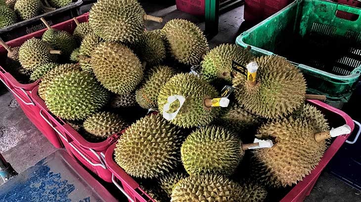 Selection of Durian ready to sell