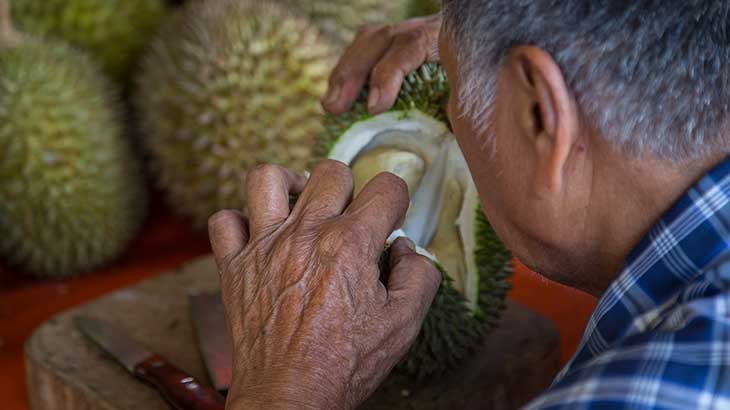 Local man opens the hard exterior to retrieve the edible fruit inside 