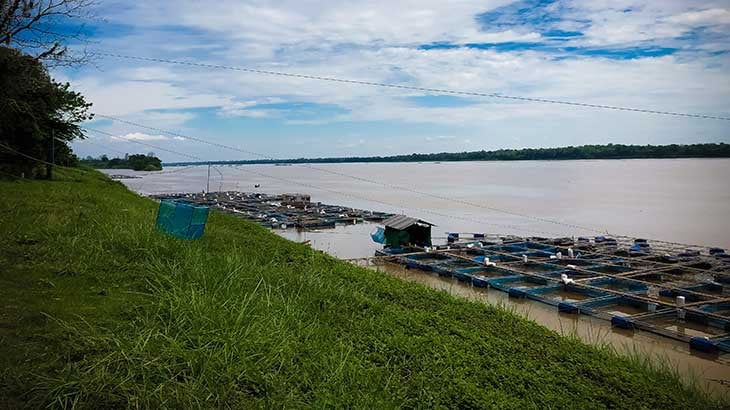 Fishing cages used by fish farmers