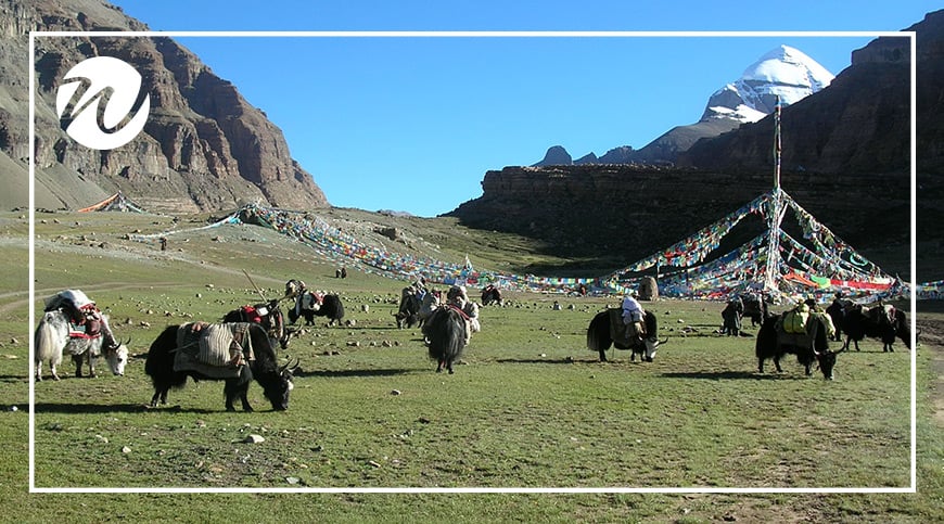 Asia Travel Recommendations, Take in the views of Mt Kailash, Tibet
