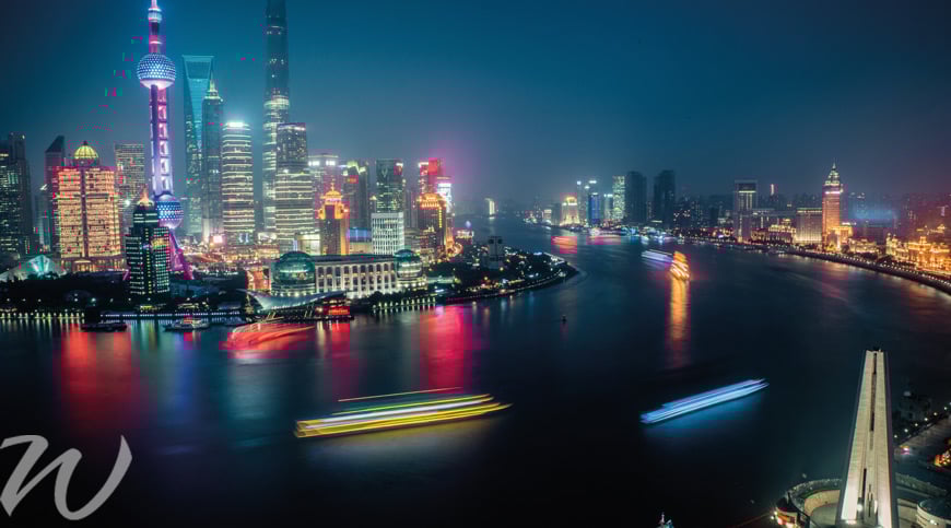 Bright-lights-of-Shanghai, year of the dog