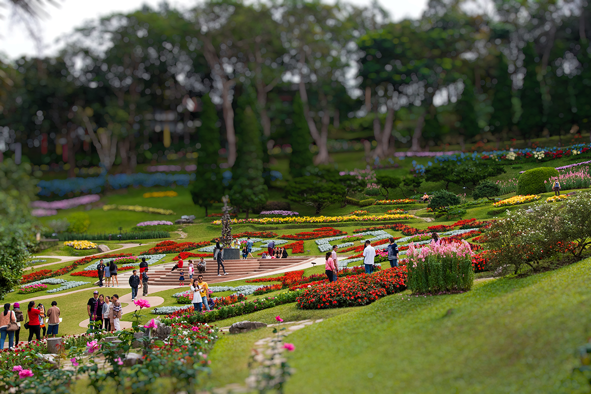 Queen Sirikit Botanic Gardens, Chiang Mai, travel photography