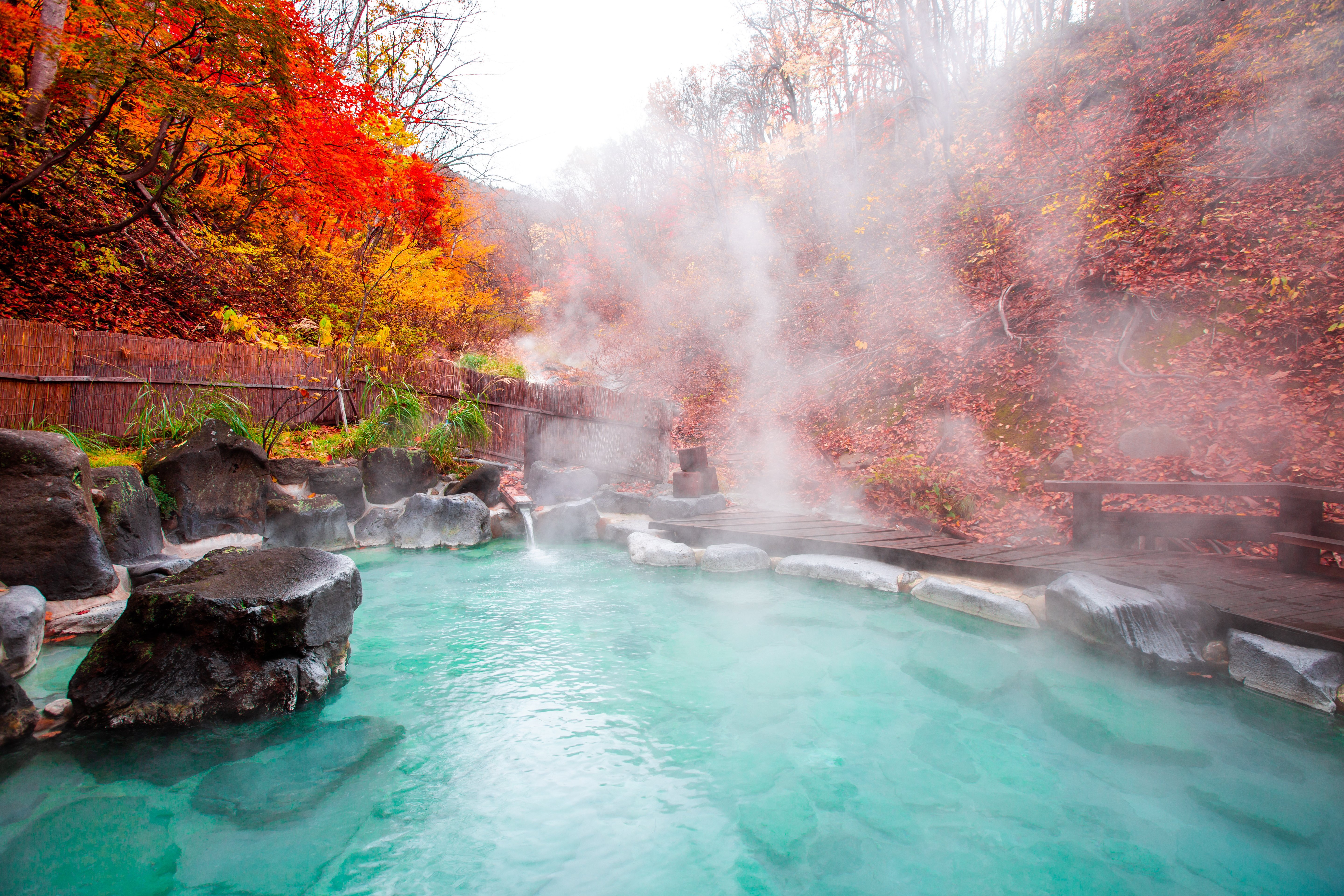 Hot_Spring_Onsen_Japan_1233060712