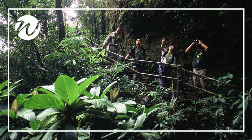 Kinabalu National Park