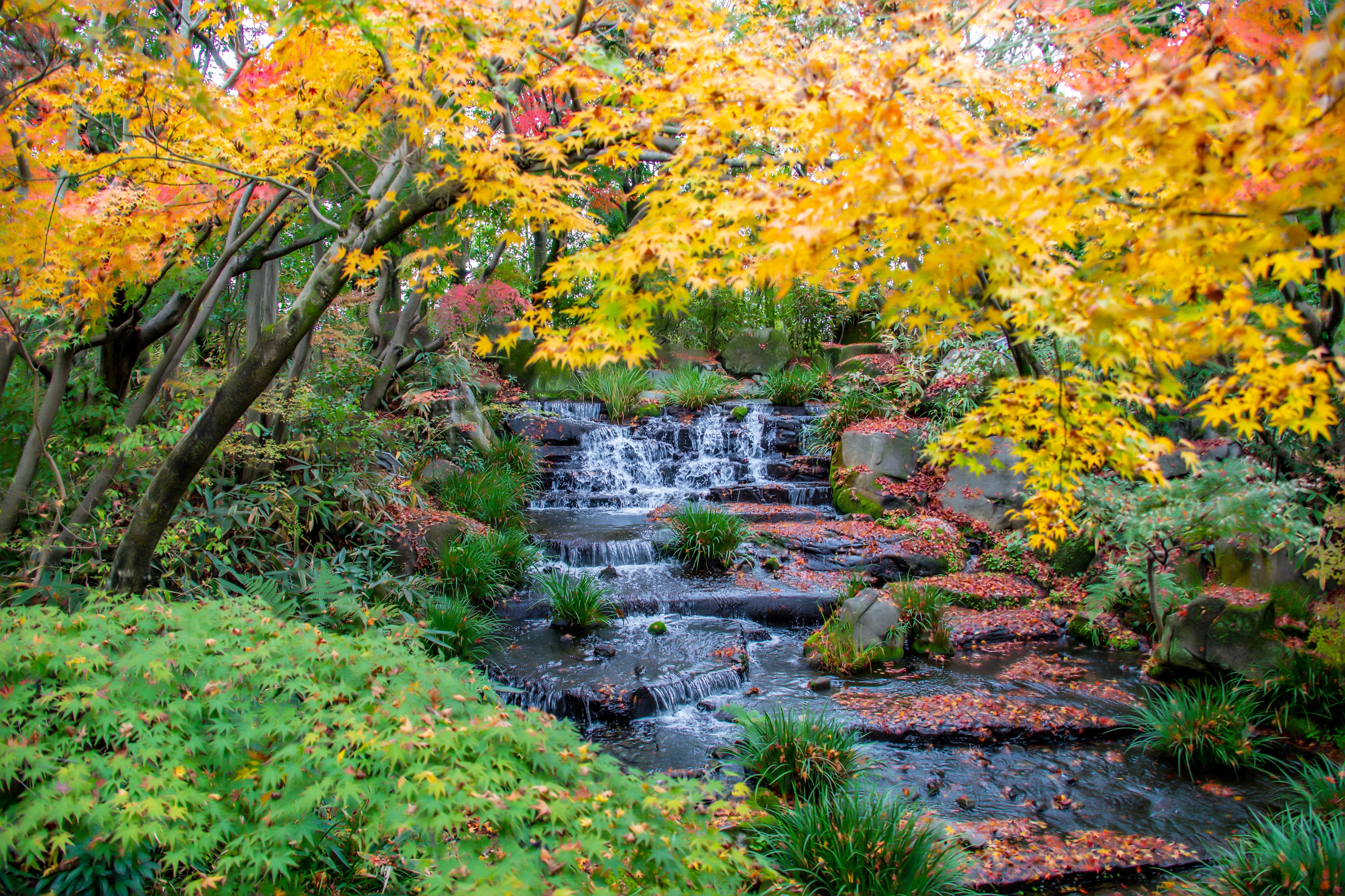 Kokoen_Japan_2253503331