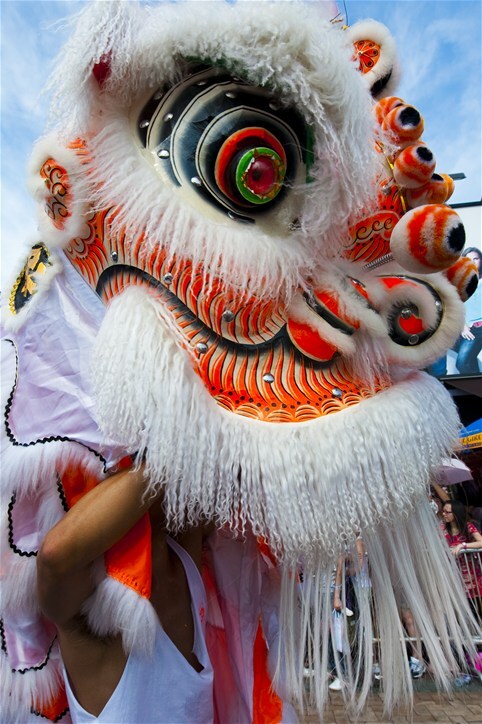 Lion Dance, Hong Kong, Hong Kong vs Singapore