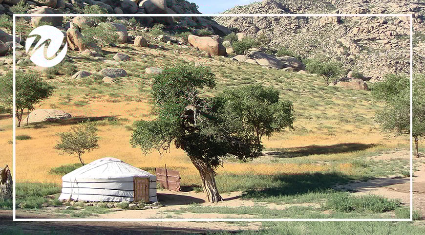 Nomadic Life of Mongolia