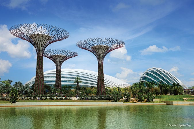 Supertrees and Conservatory (image credit: Gardens By the Bay)