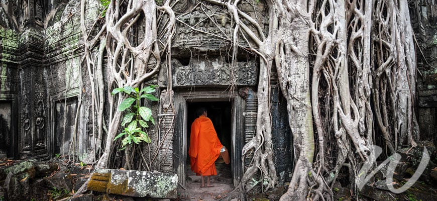 A Monk at Ta Prohm