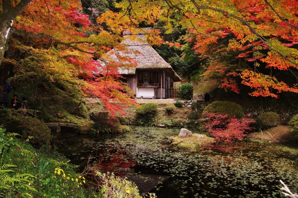 japanautumn-1024x682