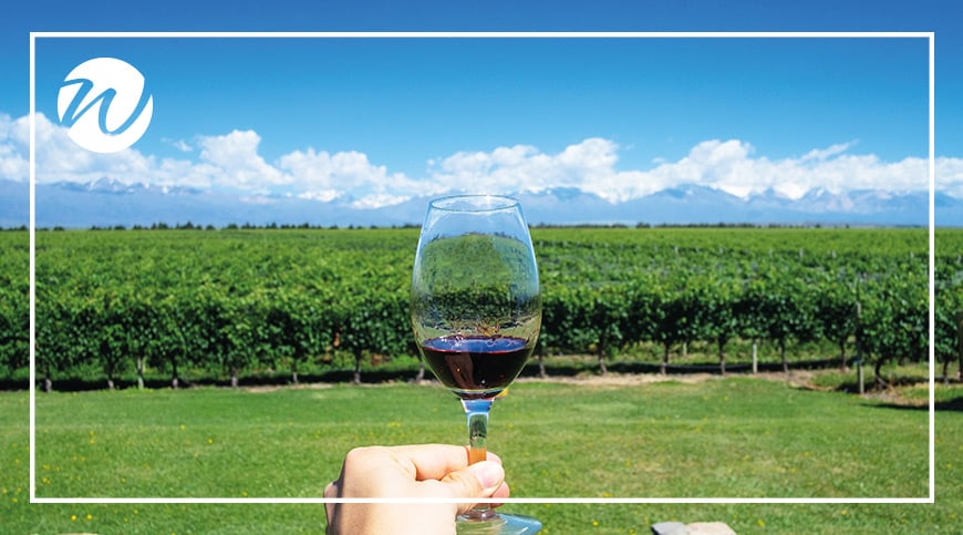 World-class wines in Mendoza