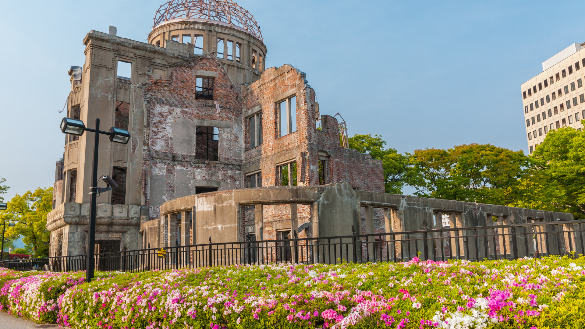 Our Most Popular Tour_ Japan Uncovered