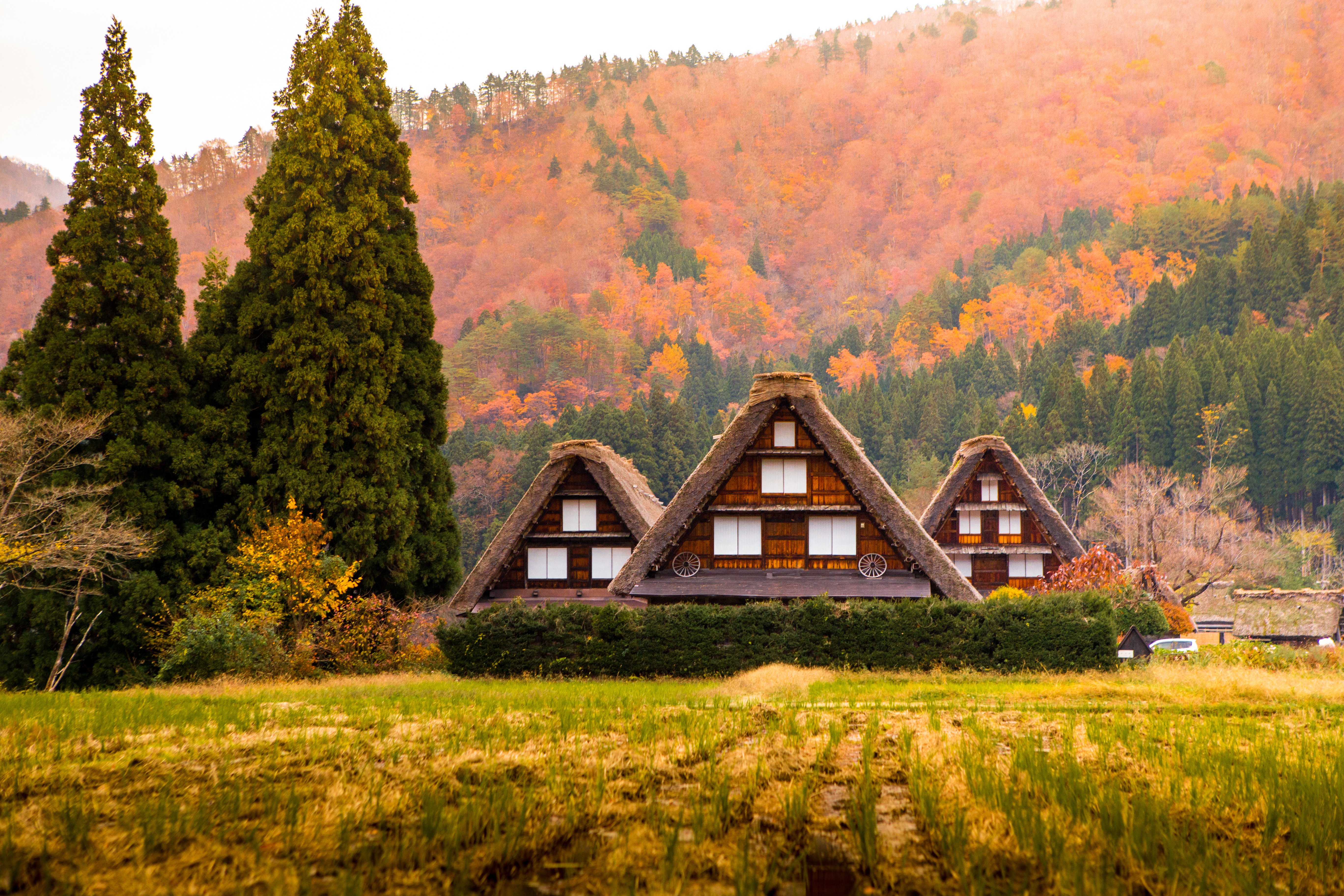 Shirakawago_Gifu_Japan_1451106314