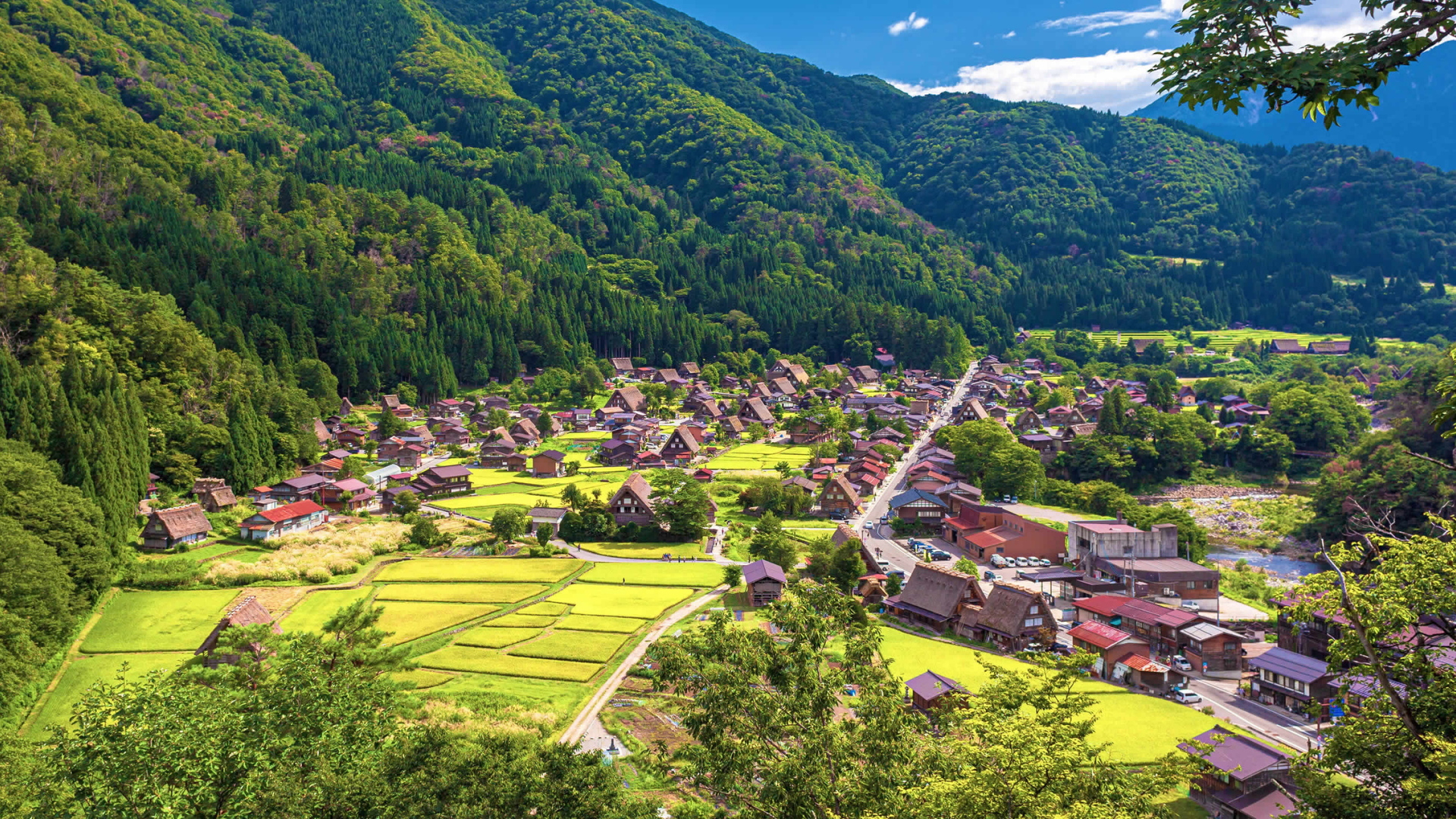 Wendys Pick of the Month_ Discover Japan _ Taiwan Express Short Stay