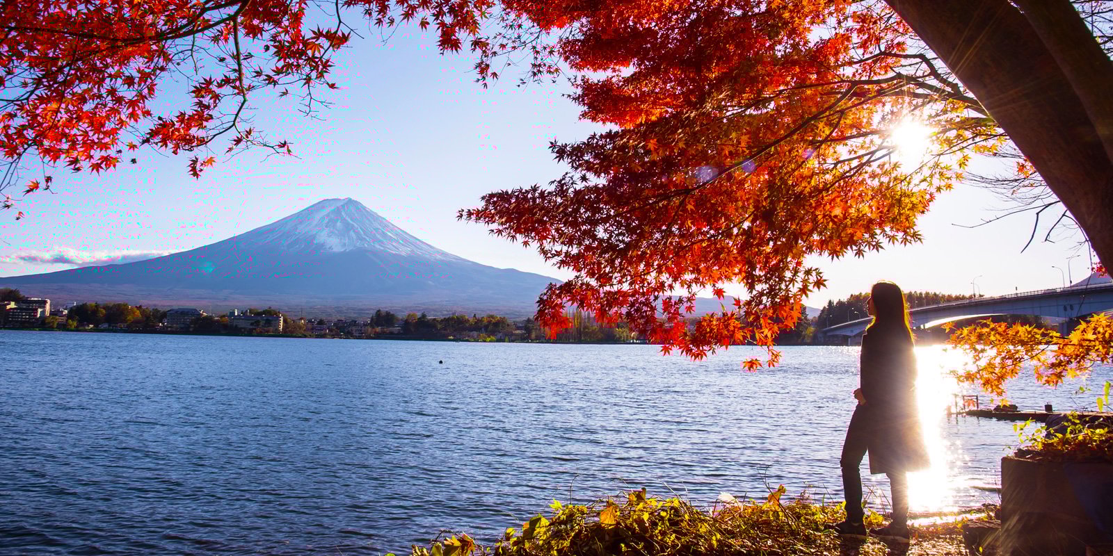 banner-mt.fuji