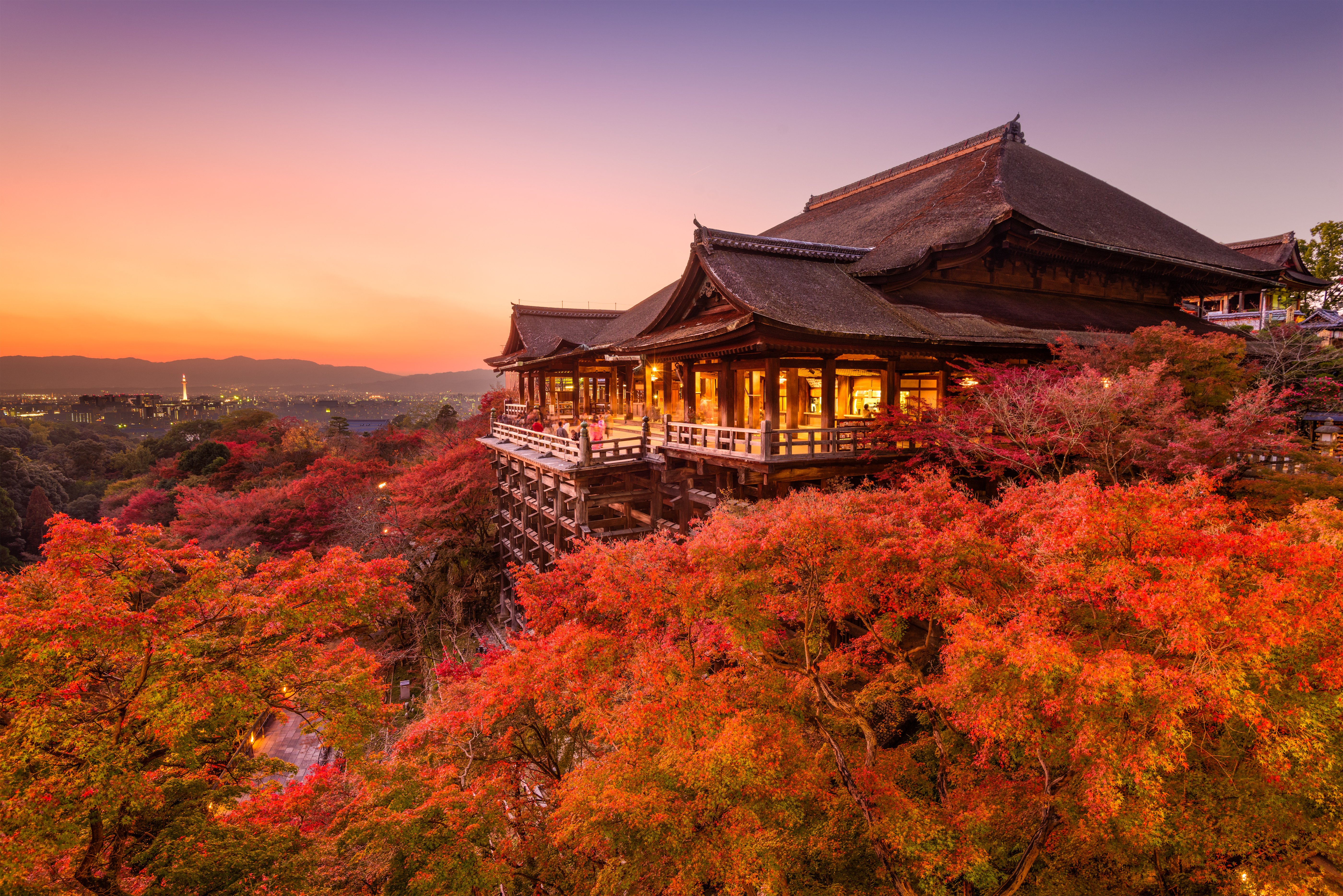shutterstock_358586762