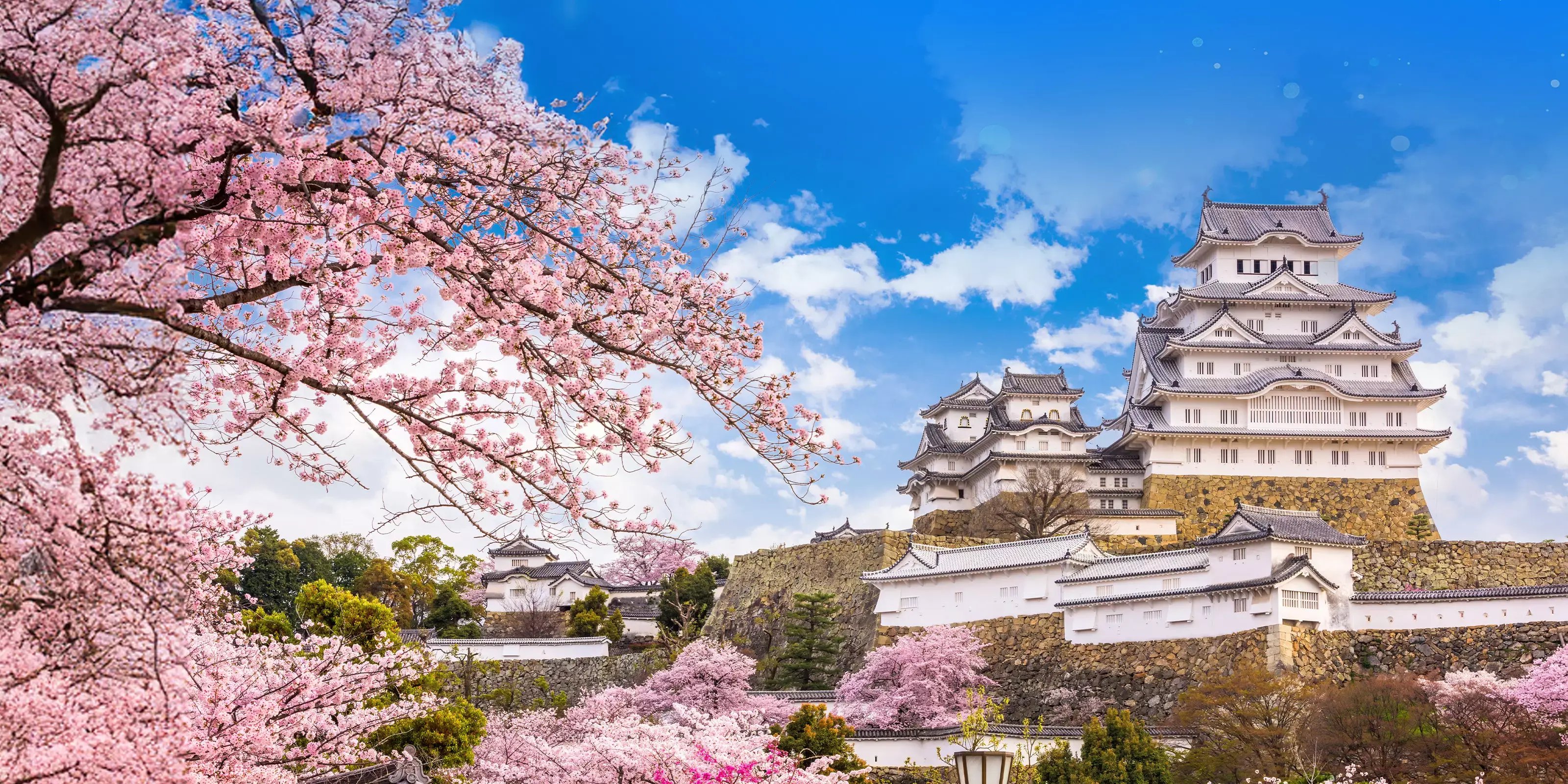 www.wendywutours.com.auresourceupload3085wwt-cherryblossom-web-hero-desktop-3200x1600.jpg