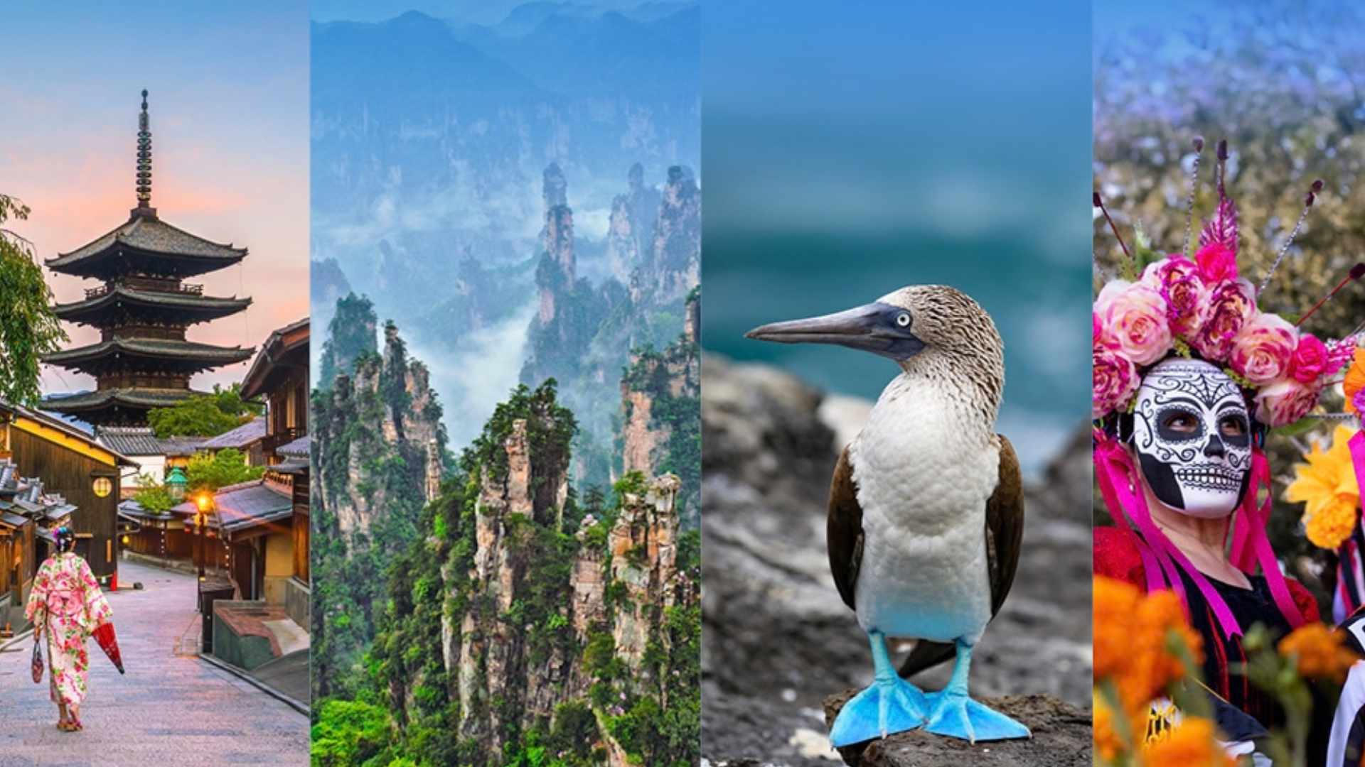 wendy wu tours 2027 travel hotlist