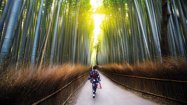 Bamboo groves of Arashiyama, Kyoto 