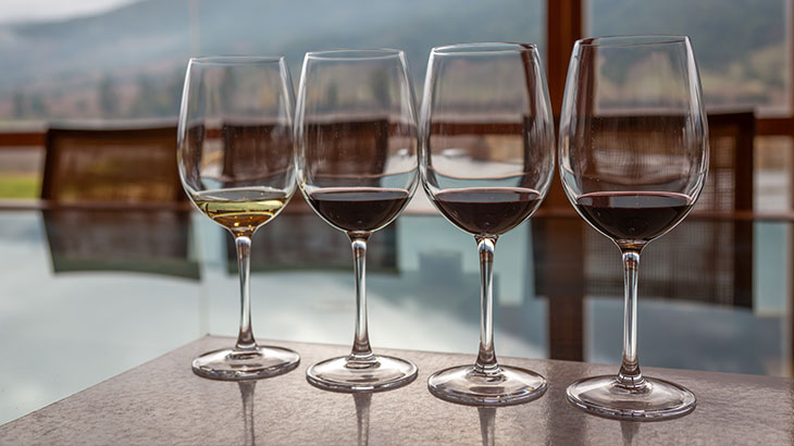 Chilean Wine Tasting