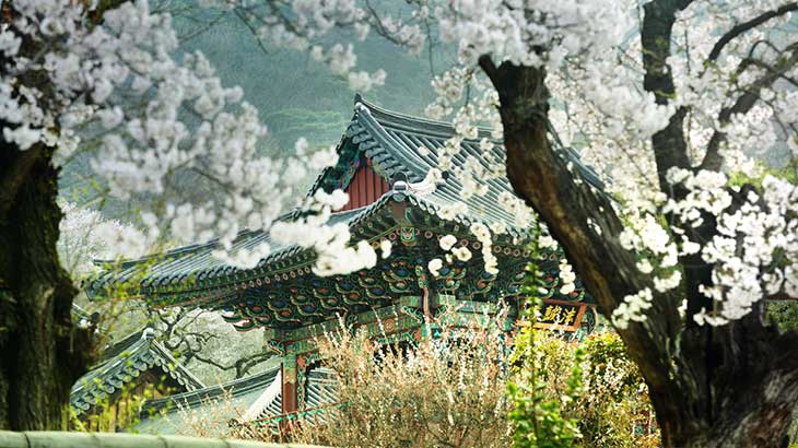 South Korea