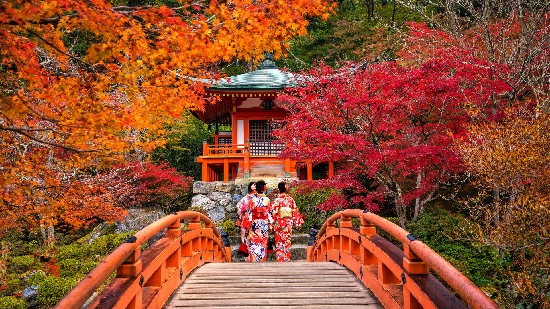 Japan Autumn Leaves - best place to see them.