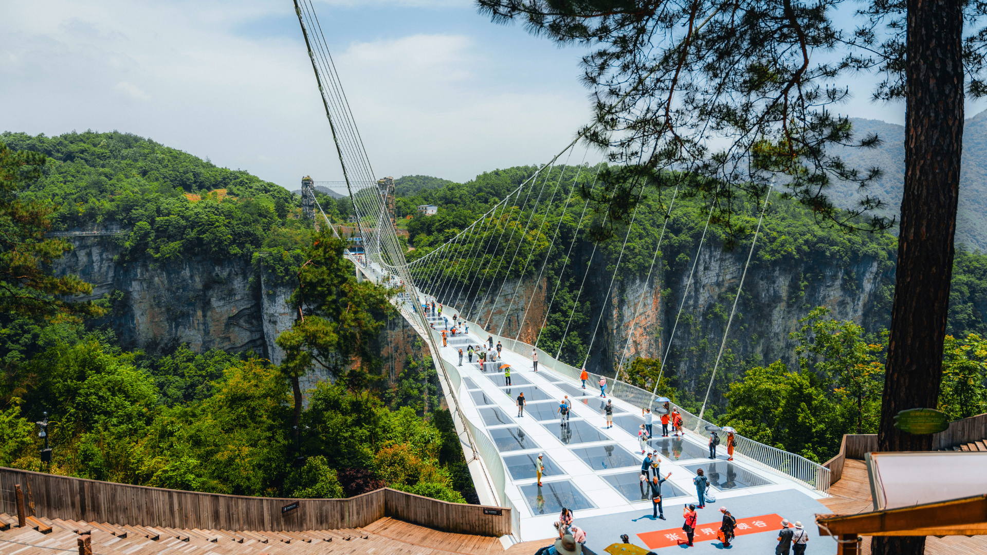 Glass Bridge Zhangjiajie, China 